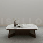 Valvet oasis sofa set